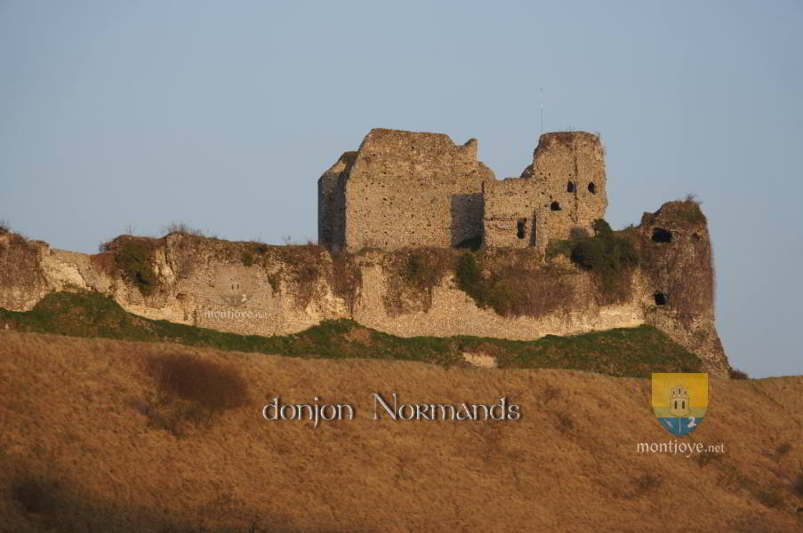 Donjon Normands d'Arques la Bataille