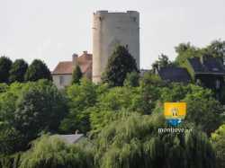 Donjon Chateau Droizy