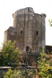 Donjon Droizy Avant Restauration 1