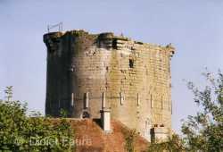Donjon Droizy Avant Restauration 2