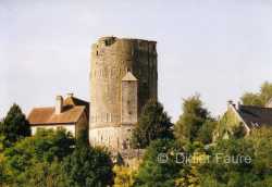 Donjon Droizy Avant Restauration