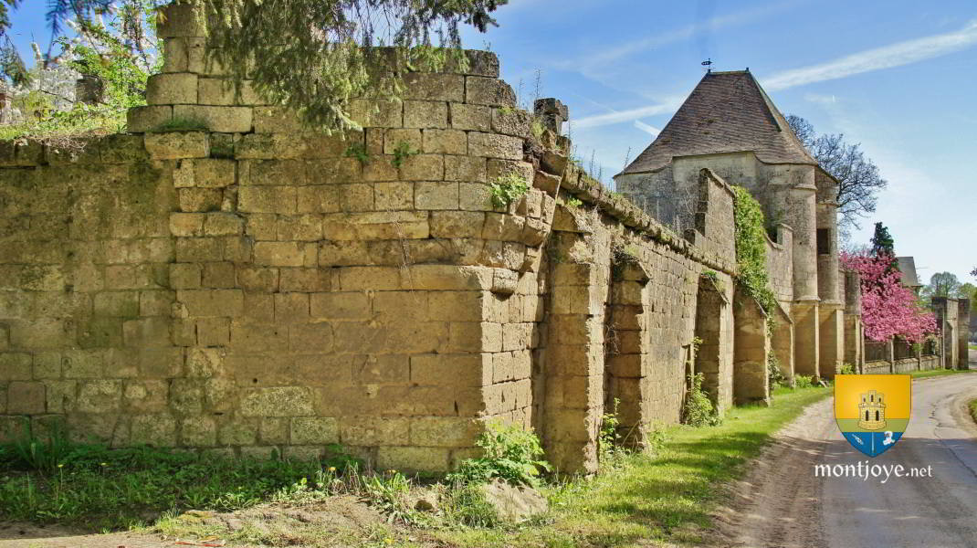 Château de la Noue -Villers-Côtterêts - Aisne - 02 - Histoire, Château