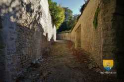 Crepy En Valois DSC06725 20