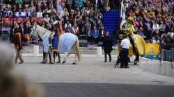 Orleans 2012 Fete Jeanne Darc Defile 14 