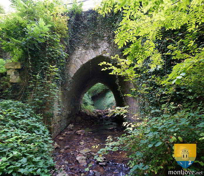 Autre face du pont, on remarquera ses contreforts qui n'existent pas sur l'autre versant Autre face du pont, on remarquera ses contreforts qui n'existent pas sur l'autre versant