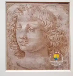 Ange Leonard De Vinci 