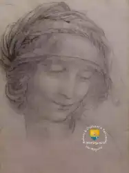 Etude Sainte Anne Visage Leonard De Vinci Detail 