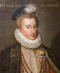 Henri Roi De Navarre