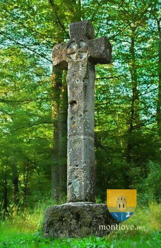 Croix Pucelle à Saint-Germain en Laye, sur la Route de Poissy, Datée de 1456. Il semble qu'elle était mise ici par Jean de Dunois alors capitaine de la ville. Croix Pucelle à Saint-Germain en Laye, sur la Route de Poissy, Daté de 1456