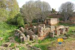 Thermes Romain Chellah