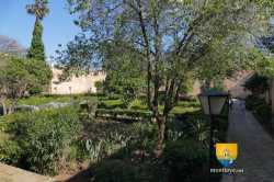 Jardin Andalou Rabat Sale