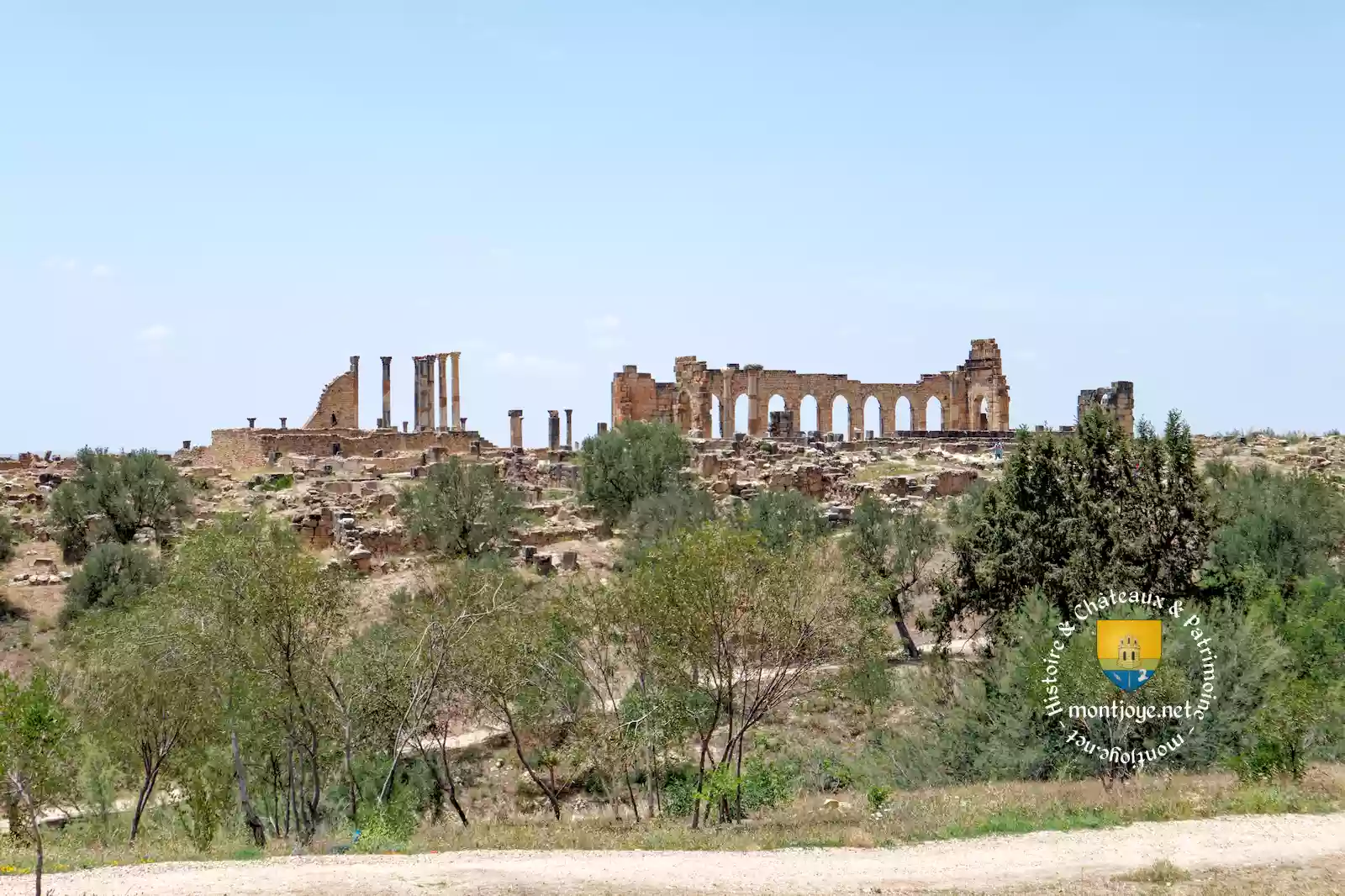volubilis ruine romaine du maroc 