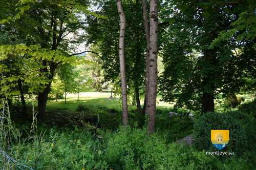 Jardin privé, ancienne emplacement de l&#039;abbaye, c&#039;est ici que le ruisseau coule.