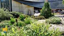 Place Vieux Marche Jeanne Darc